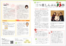 第29号